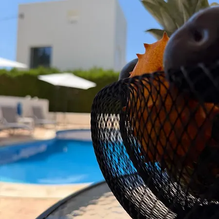Apartamento Paphia Olive